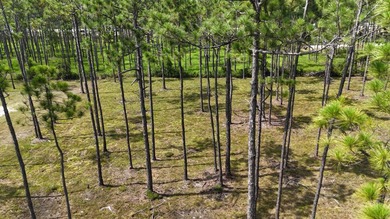 Presenting a prime opportunity to own a .30-acre residential lot - photo 9