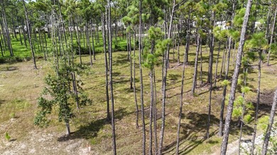 Presenting a prime opportunity to own a .30-acre residential lot - photo 10