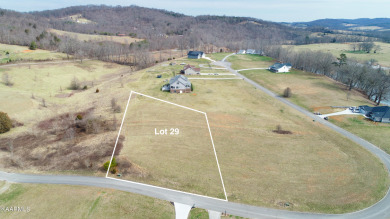 Holston River - Grainger County  Lot For Sale in Blaine Tennessee