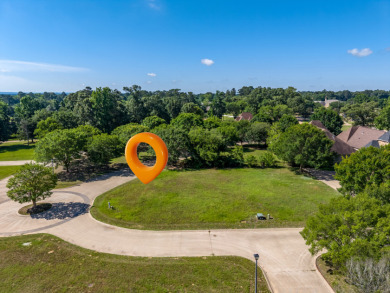 Stunning Garden Home Lot in Eagle's Bluff on Lake Palestine - photo 4