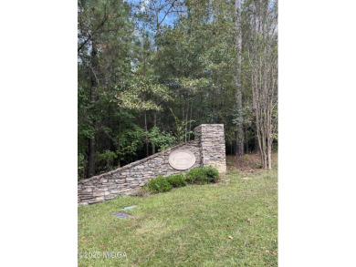 Lake Lot For Sale in Lizella, Georgia