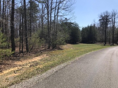 Beautiful 3.72 acre lot in Greenfields Estates! Lot is fully - photo 13
