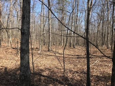Beautiful 3.72 acre lot in Greenfields Estates! Lot is fully - photo 14
