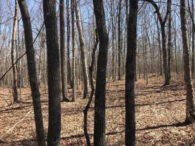 Beautiful 3.72 acre lot in Greenfields Estates! Lot is fully - photo 16