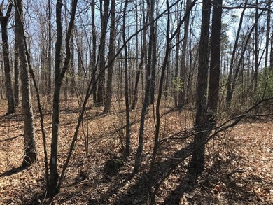 Beautiful 3.72 acre lot in Greenfields Estates! Lot is fully - photo 17