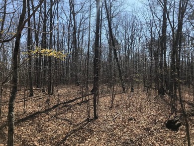 Beautiful 3.72 acre lot in Greenfields Estates! Lot is fully - photo 18
