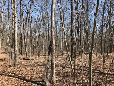 Beautiful 3.72 acre lot in Greenfields Estates! Lot is fully - photo 19