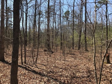 Beautiful 3.72 acre lot in Greenfields Estates! Lot is fully - photo 20