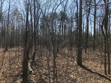 Beautiful 3.72 acre lot in Greenfields Estates! Lot is fully - photo 21