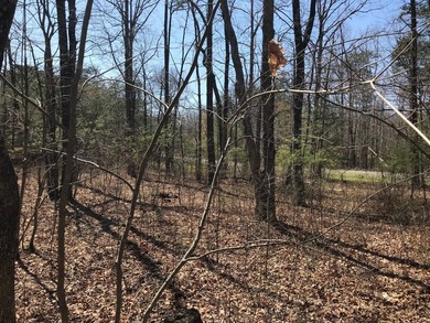 Beautiful 3.72 acre lot in Greenfields Estates! Lot is fully - photo 23