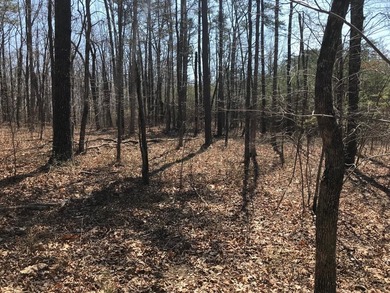 Beautiful 3.72 acre lot in Greenfields Estates! Lot is fully - photo 25