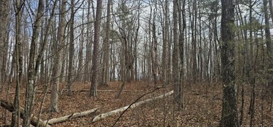 Beautiful 3.72 acre lot in Greenfields Estates! Lot is fully - photo 28