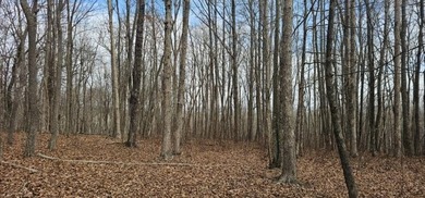 Beautiful 3.72 acre lot in Greenfields Estates! Lot is fully - photo 29