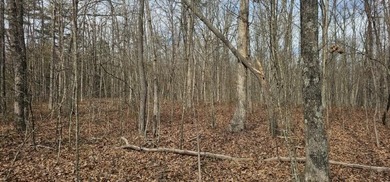 Beautiful 3.72 acre lot in Greenfields Estates! Lot is fully - photo 31