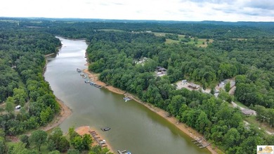 WATERFRONT- ROUGH RIVER! Rare double lot totaling just over half - photo 12