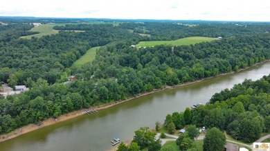 WATERFRONT- ROUGH RIVER! Rare double lot totaling just over half - photo 13