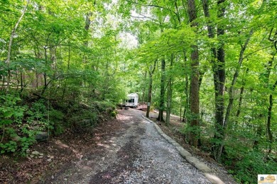 WATERFRONT- ROUGH RIVER! Rare double lot totaling just over half - photo 16