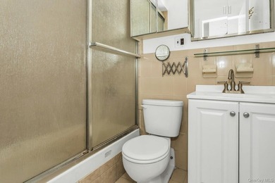 Prime Flushing! Top floor, corner southwest exposure. Spacious 2 - photo 19