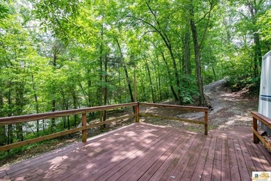 WATERFRONT- ROUGH RIVER! Rare double lot totaling just over half - photo 19