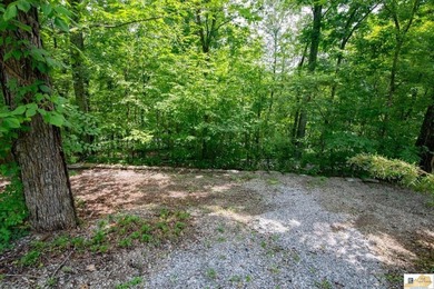 WATERFRONT- ROUGH RIVER! Rare double lot totaling just over half - photo 37