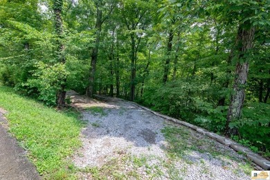 WATERFRONT- ROUGH RIVER! Rare double lot totaling just over half - photo 40