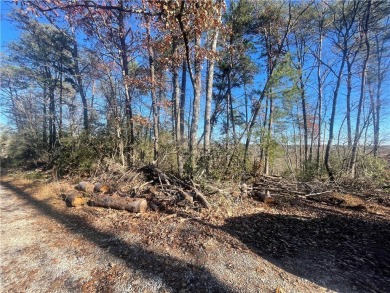 Lake Lot For Sale in Tamassee, South Carolina