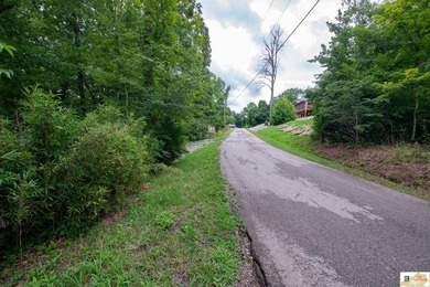 WATERFRONT- ROUGH RIVER! Rare double lot totaling just over half - photo 42