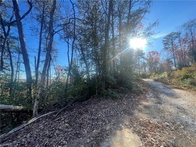 0.61 combined lot on private County Road with some Mountain - photo 3