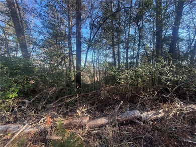 0.61 combined lot on private County Road with some Mountain - photo 4