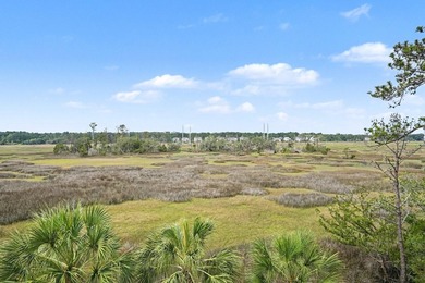 Exceptional marsh views--rarely found in this location--set this - photo 46