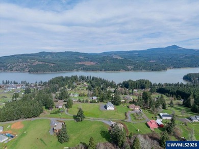 FOSTER LAKE VIEW opportunity! 50x70 RV Sized shop with 3 - 14x14 - photo 47