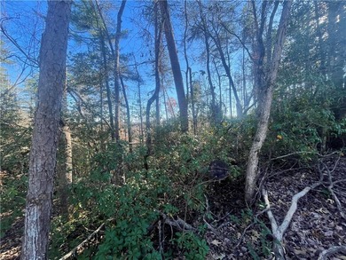 0.61 combined lot on private County Road with some Mountain - photo 8