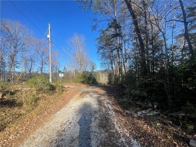 0.61 combined lot on private County Road with some Mountain - photo 10