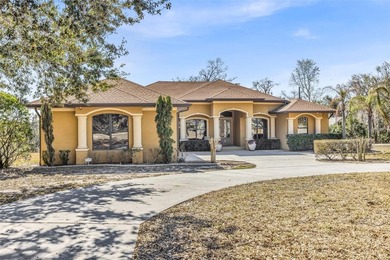 Welcome to Shadow Run Blvd in the highly sought-after Shadow Run - photo 6