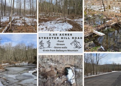 Lake Acreage For Sale in Middletown, New York