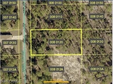 Lehigh Acres Area Lot For Sale in Lehigh Acres Florida