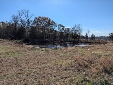 Lake Acreage For Sale in Donalds, South Carolina