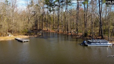 Lake Lot For Sale in Chapin, South Carolina