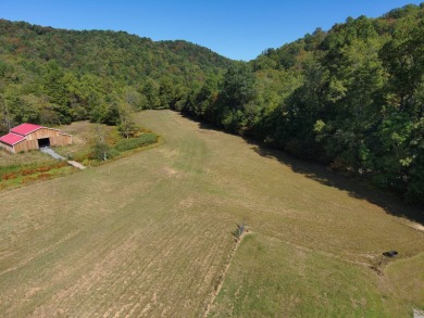 Lake Acreage For Sale in Helvetia, West Virginia