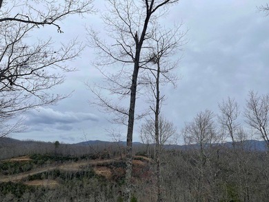 Homesite has incredible views of the Smokey Mountains. You can - photo 2