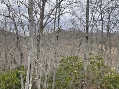 Homesite has incredible views of the Smokey Mountains. You can - photo 3