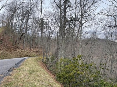 Homesite has incredible views of the Smokey Mountains. You can - photo 4