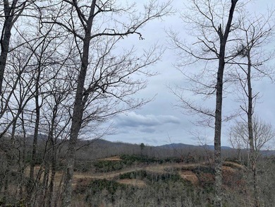 Homesite has incredible views of the Smokey Mountains. You can - photo 5