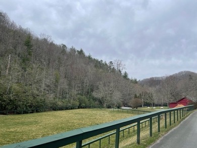 Homesite has incredible views of the Smokey Mountains. You can - photo 6