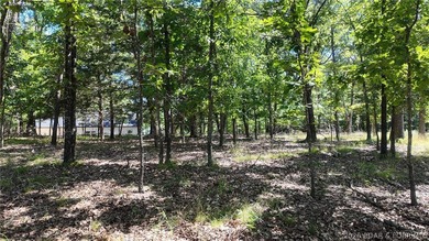Build your dream home on Champion Drive! Discover the perfect - photo 11