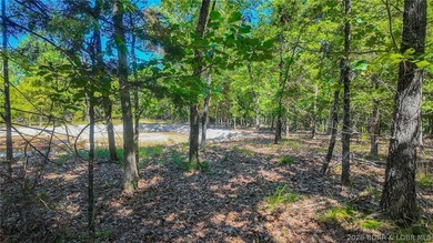 Build your dream home on Champion Drive! Discover the perfect - photo 12