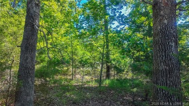 Build your dream home on Champion Drive! Discover the perfect - photo 13