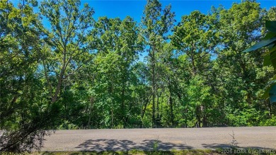 Build your dream home on Champion Drive! Discover the perfect - photo 14