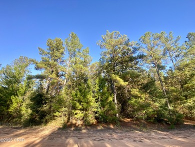 Compass Lake Lot For Sale in Alford Florida