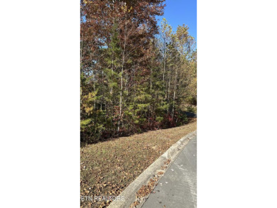 Lake Lot For Sale in Dandridge, Tennessee